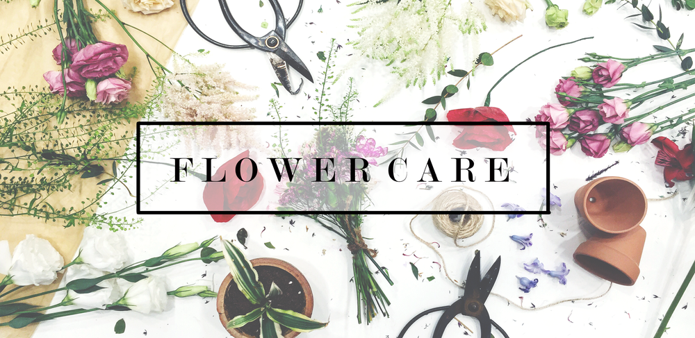 FLOWER CARE GUIDE